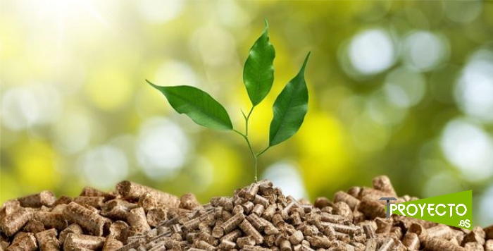 Biomasa. Cambio climático. Eficiencia Energética